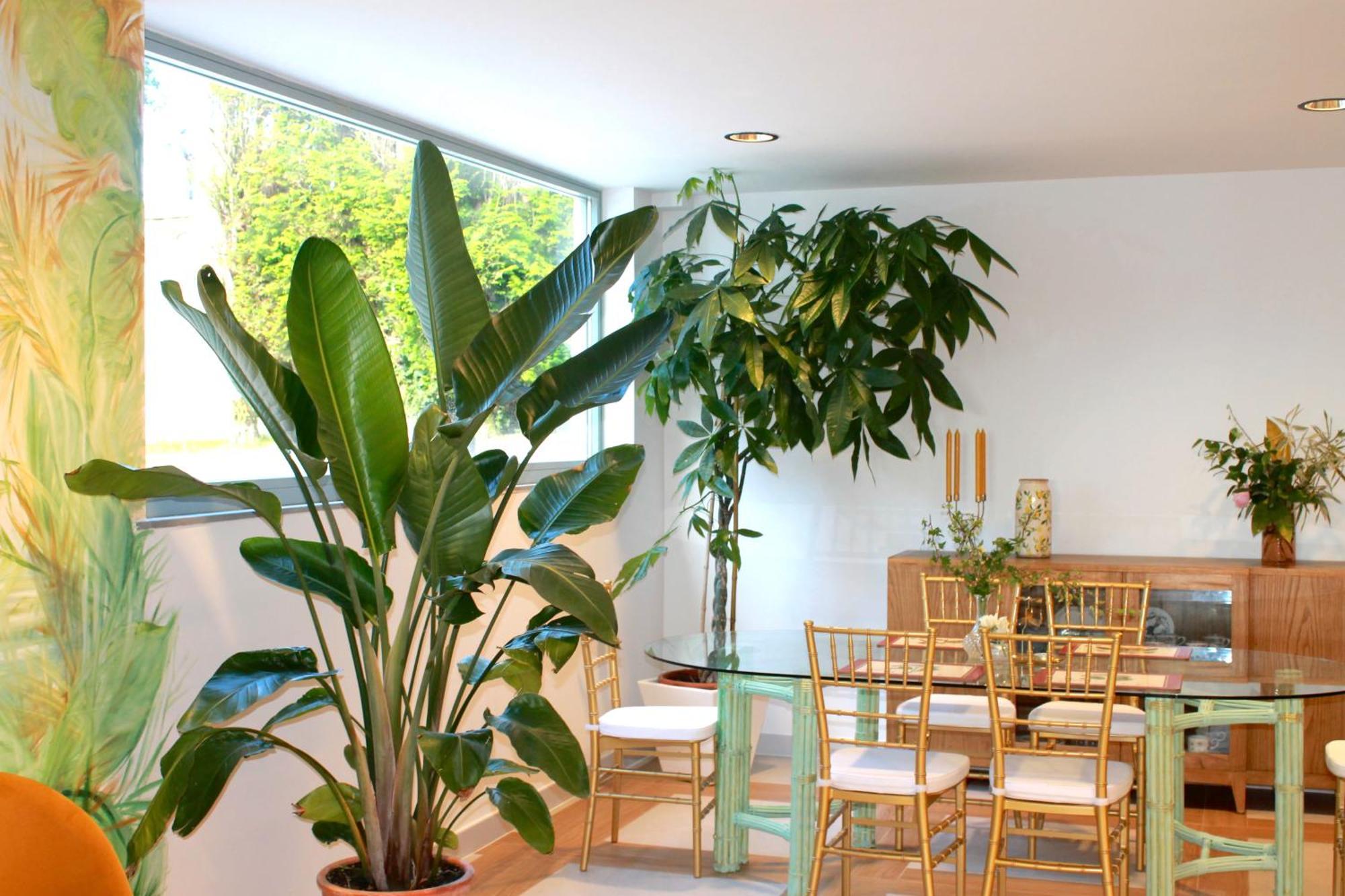 Hotel Boutique Villa Del Marques Muros de Nalón Eksteriør billede